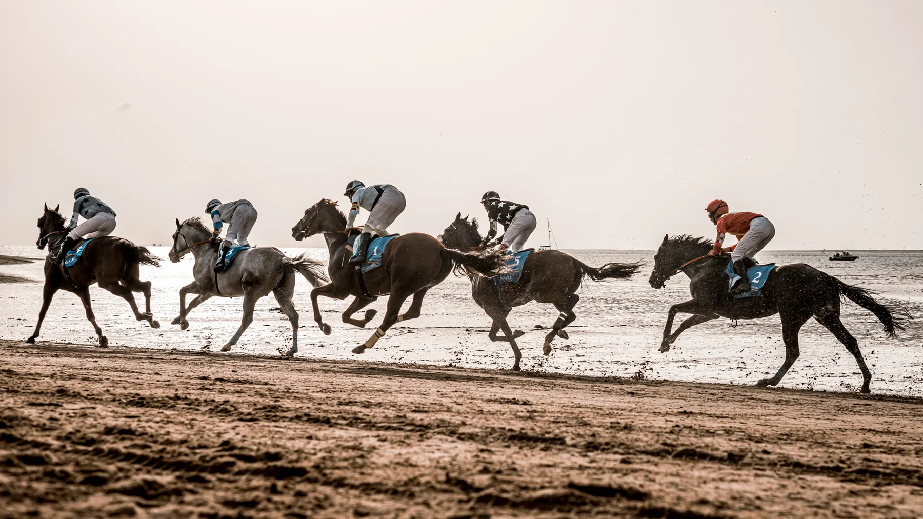 Horse race crossing an open track