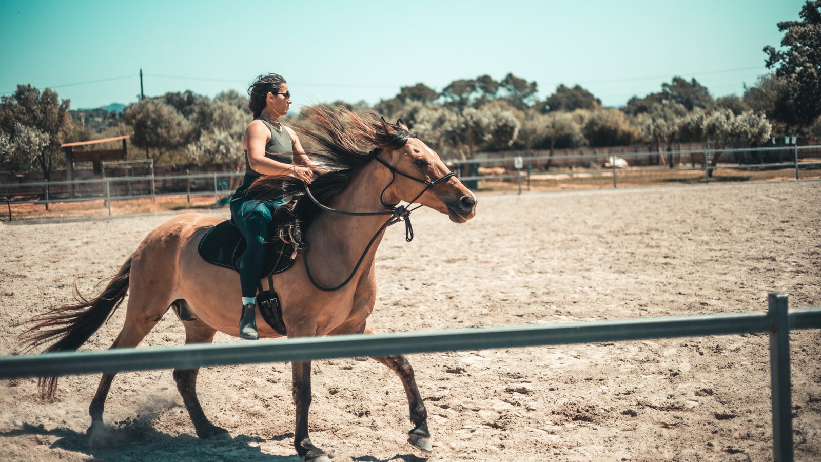 Woman riding a horse outdoors.
